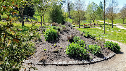 Albertus-Magnus-Heilpflanzengarten Apotheke