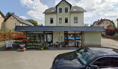 Augenbrauen Apotheke