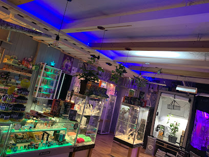 Cannadelic Apotheke