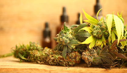 Green City Cannabis Apotheke