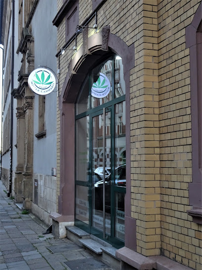 Mister Cannabis Erfurt Apotheke