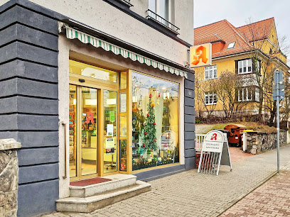 Oderland-Apotheke Apotheke